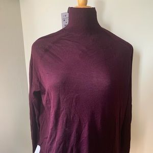 NWT Zara Mock Neck Light Sweater